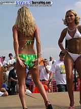 springfling Show Images Page 3